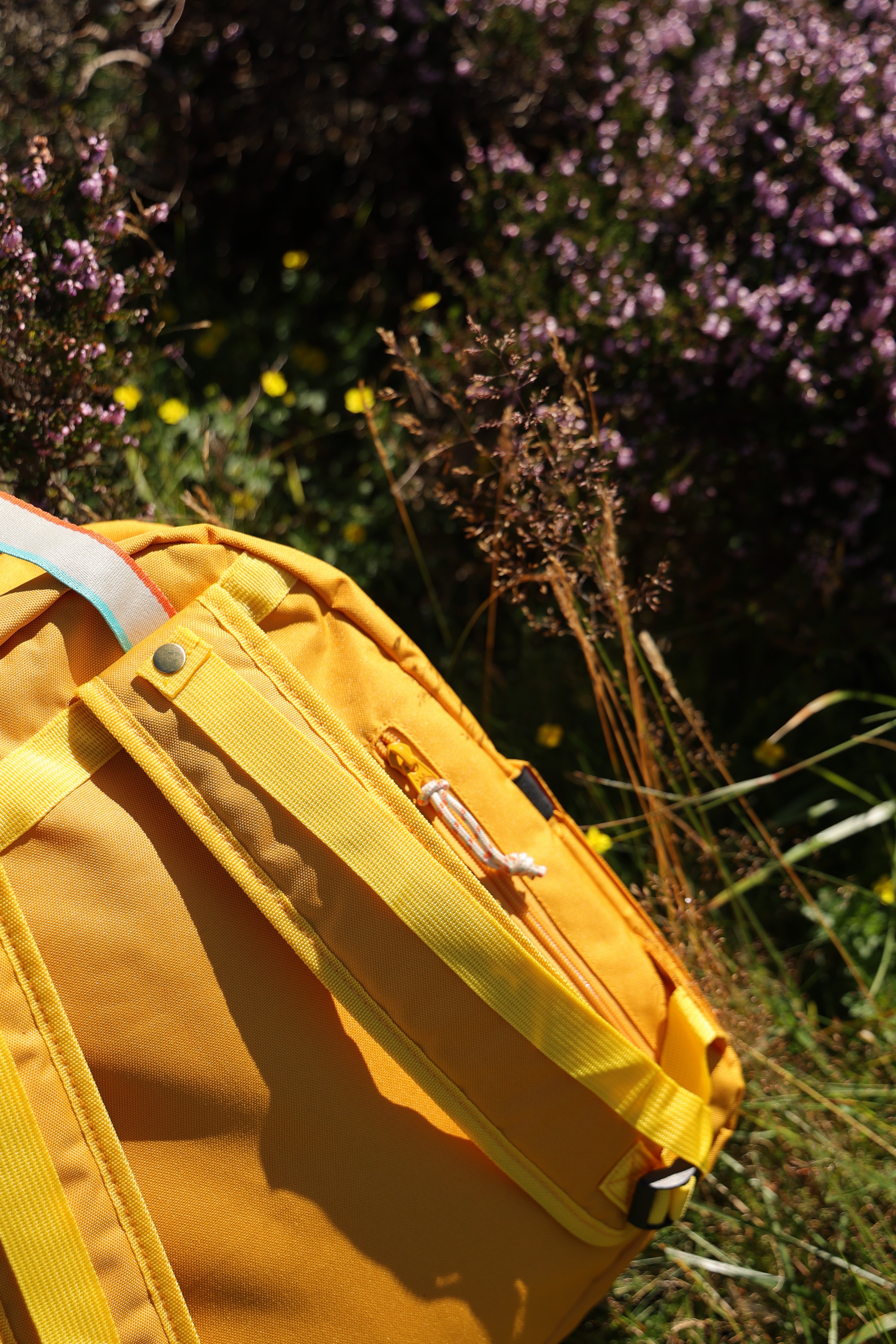 Explorer Recycled Backpack